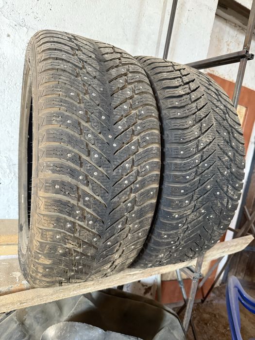 Шины нокиан хакапелита