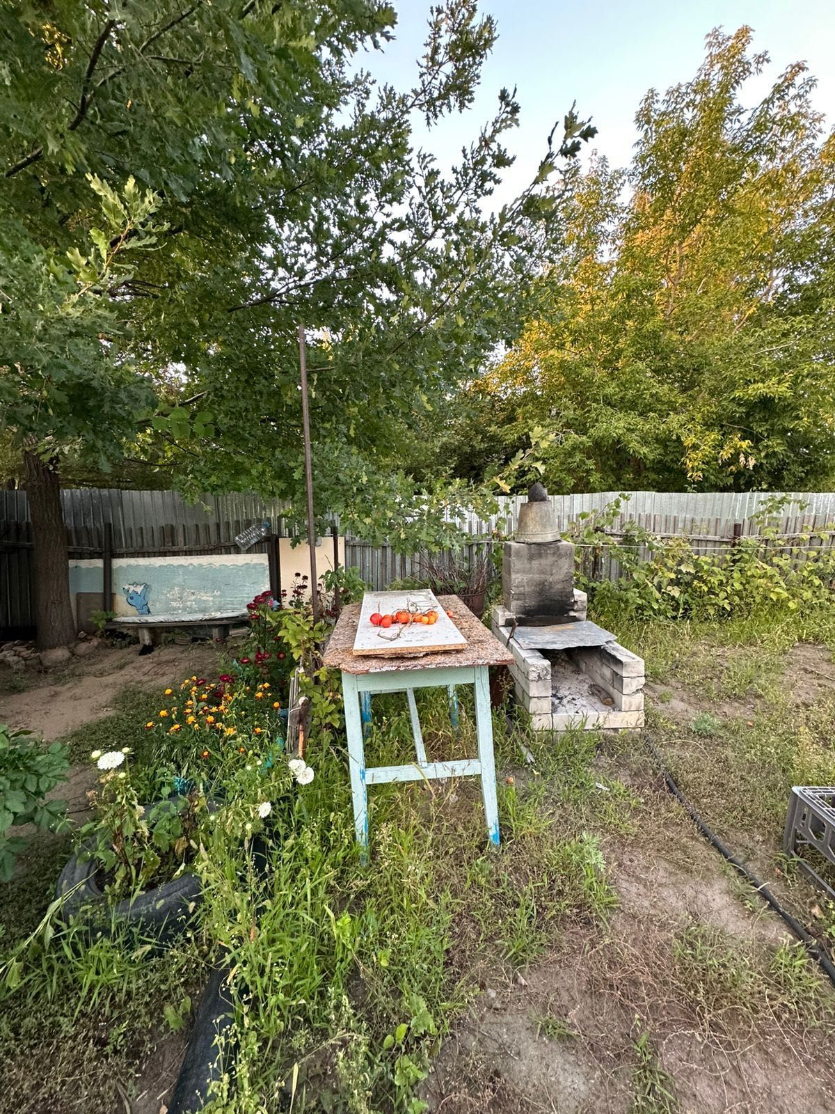 Продам дачу с домом и с баней