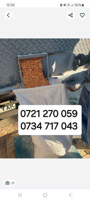 Porumb , grau , baloti fan , baloti lucerna 1