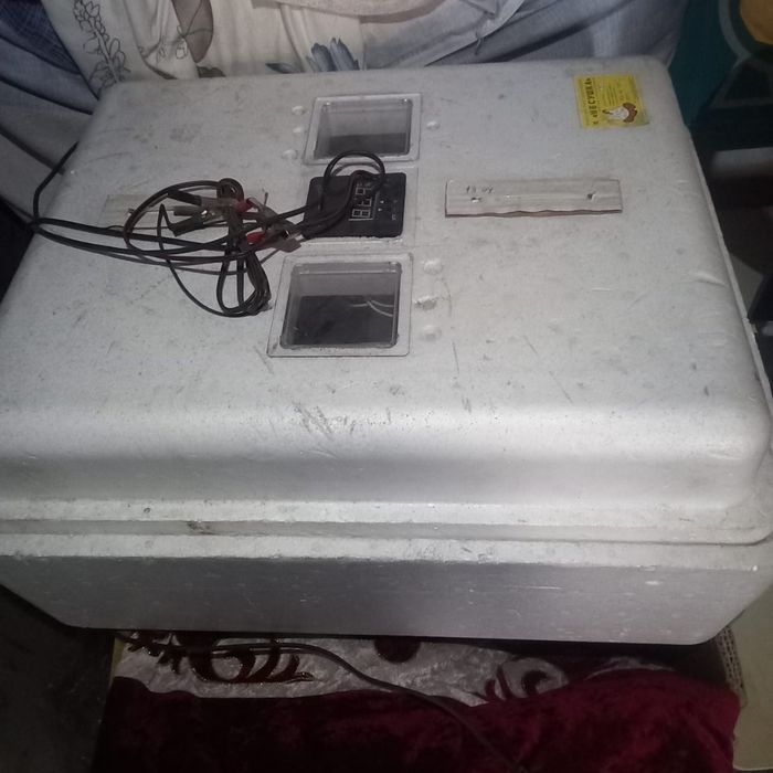 Продам инкубатор на 77 яйц