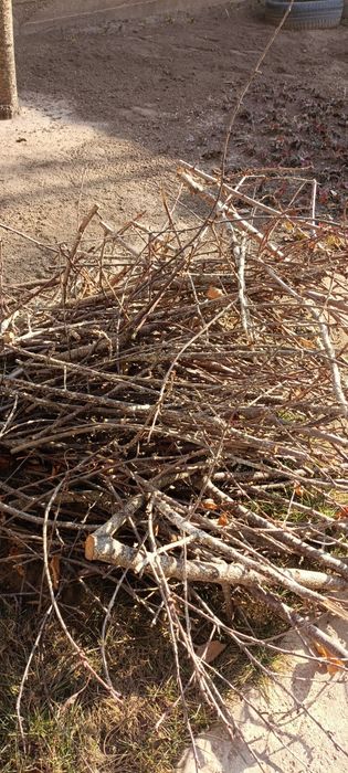 Отдам ветки на дрова. Мкр Шугыла