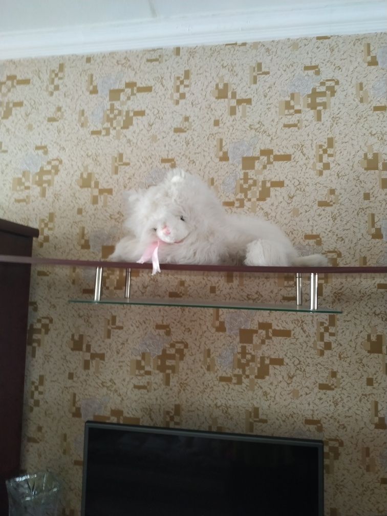 Большие мягкие игрушки -  собака, медвежонок, кот.