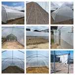 Solarii Legume - Solarii de Gradina - Transport Gratuit