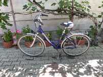 Bicicleta pegasus
