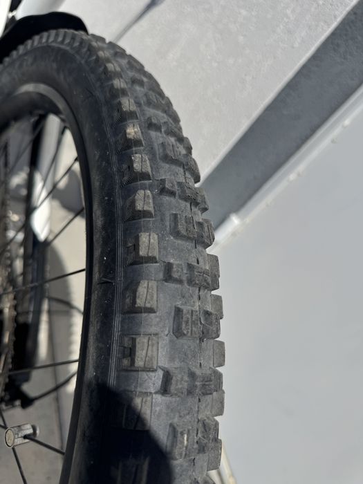 Intese Tazer Mx PRO