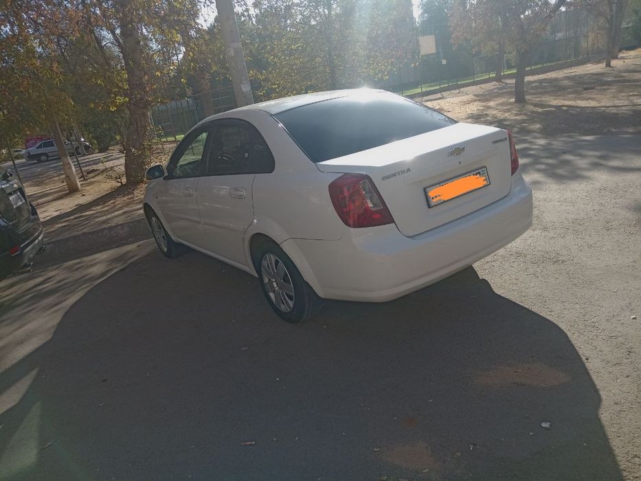 2017-yil oq jentra sotiladil