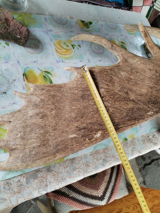 Vând ornament decorativ!!