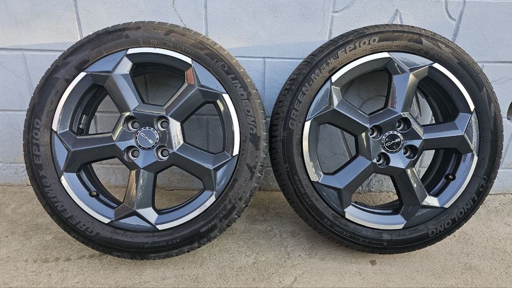 Seagull diska balon arginal zavatskoy