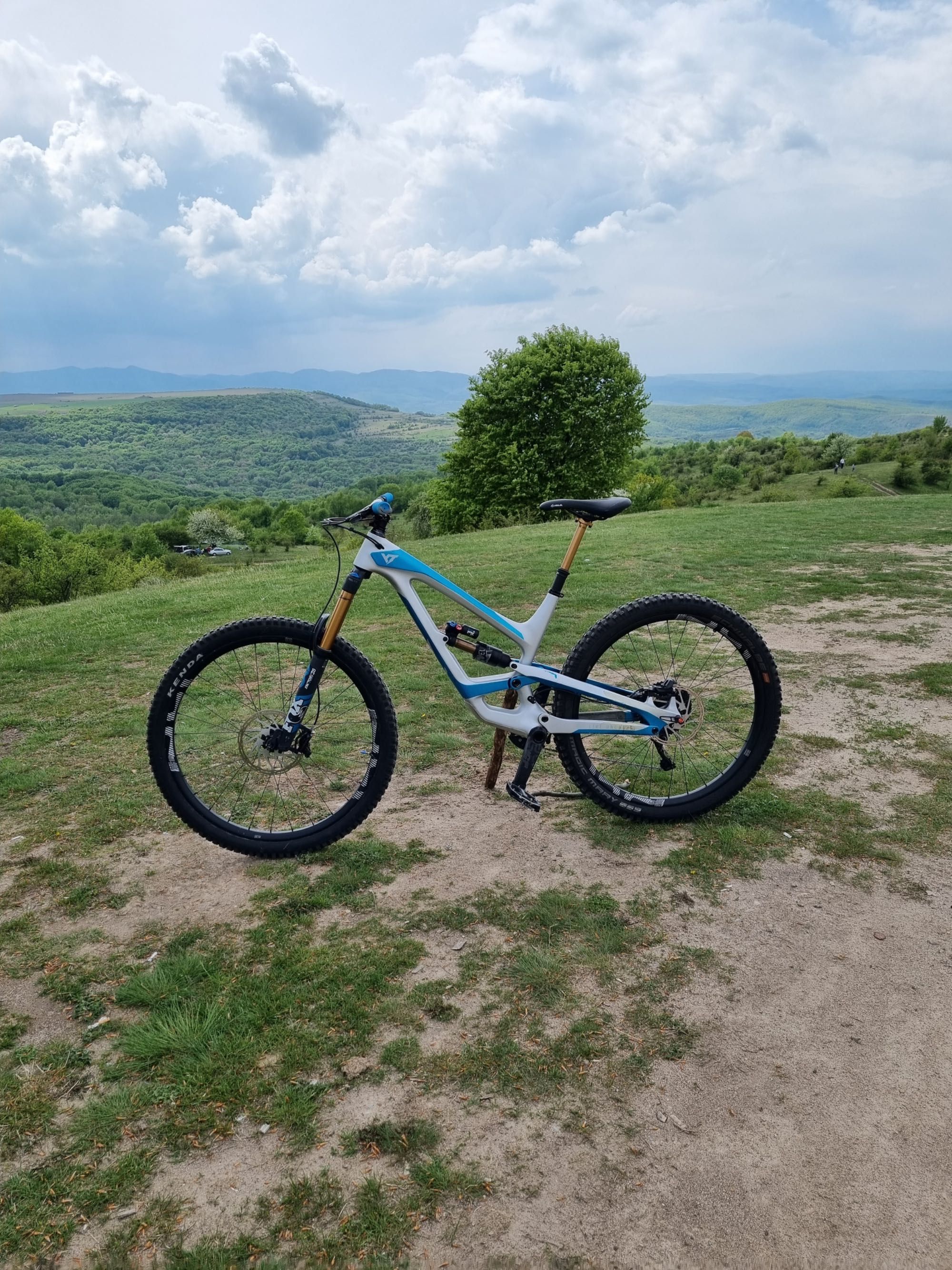 Bicicleta Enduro YT Capra 29 CF Pro Race L