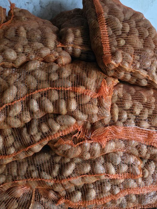 Cartof albi !(ultra)