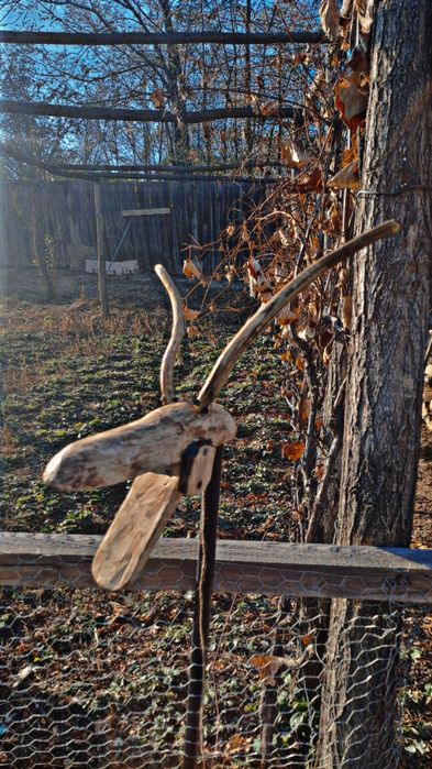 Vănd capre de anu nou