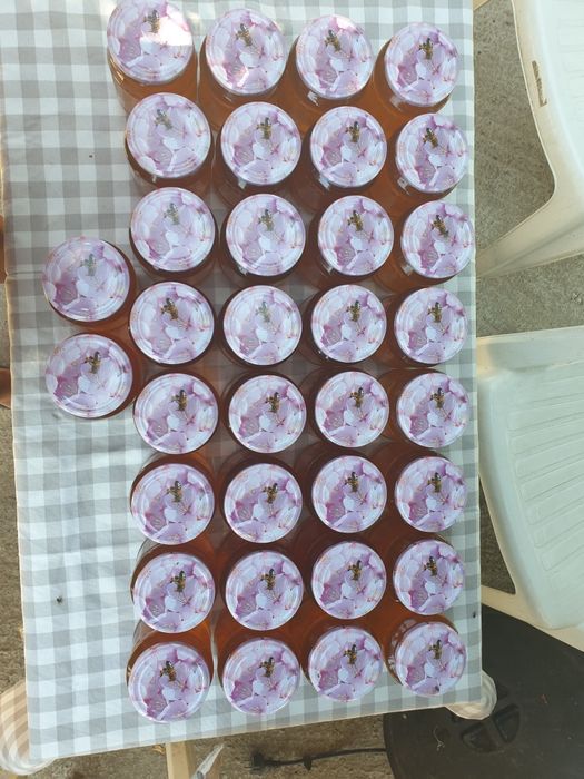 Miere poliflora Floarea Soarelui