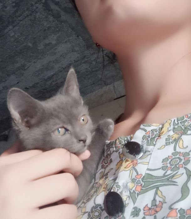 Киз, яхши колларга бераман