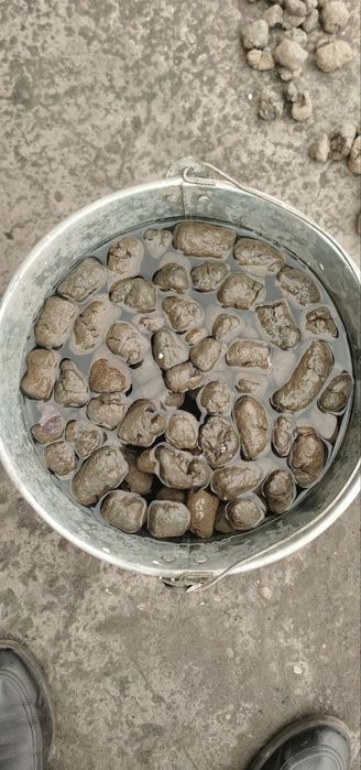 Керамзит 220 Минг Сум!