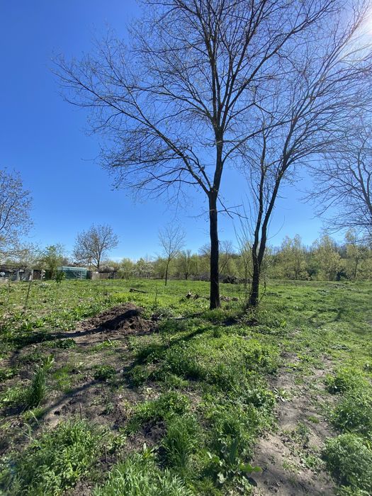 Teren intravilan 1137 mp, apa curenta, acte la zi