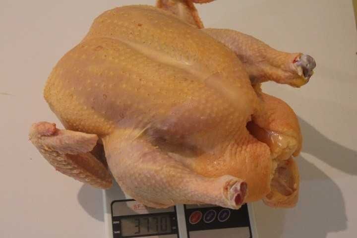 Мясо домашнего бройлера