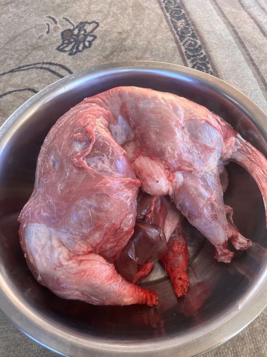 продам свежее мясо нутрии 3.500 кг