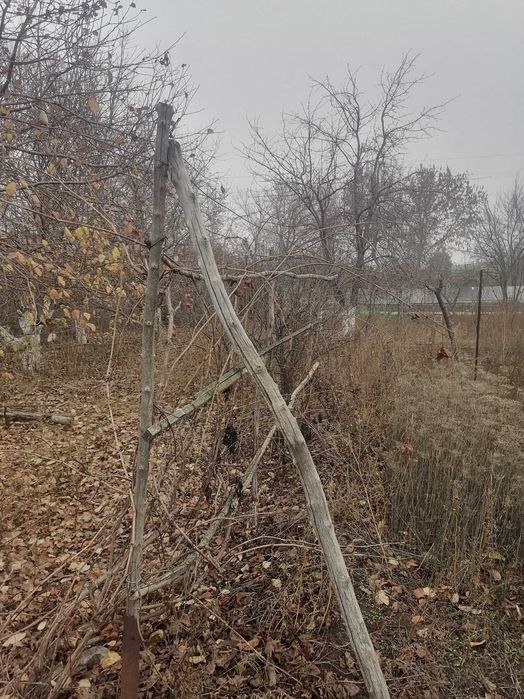 Дом инвалидов для строительства