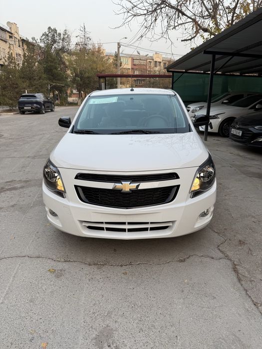 Cobalt Midnight MCM plus 25/26 Yengi