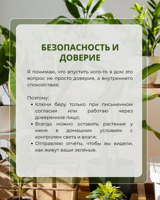 Уход за цветами | Ташкент