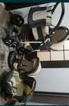 Carucior Baby merc 3 in 1