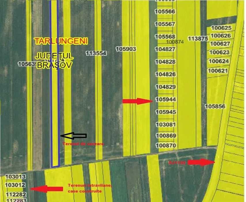 Teren intre Carpinis si Prejmer - 6900 mp, 11 EUR/mp