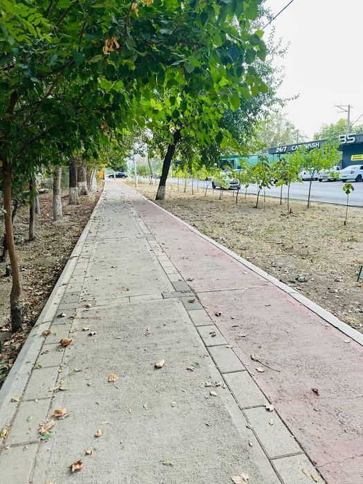 Ялангач м-в  3/1/5  вдоль дороги  нежилое