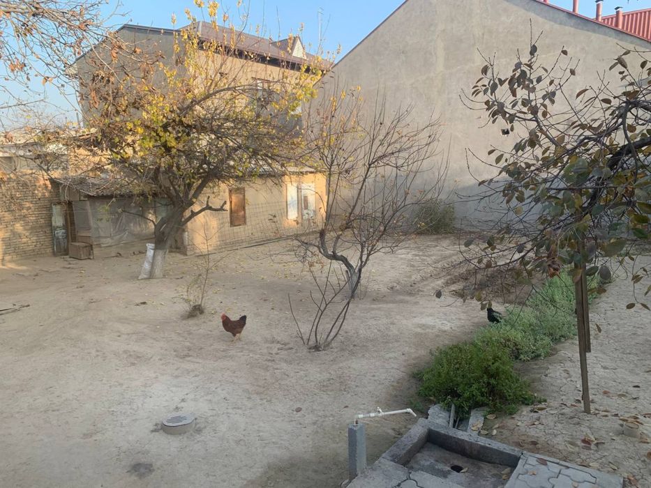 Олимда полвон йер 4 сотих