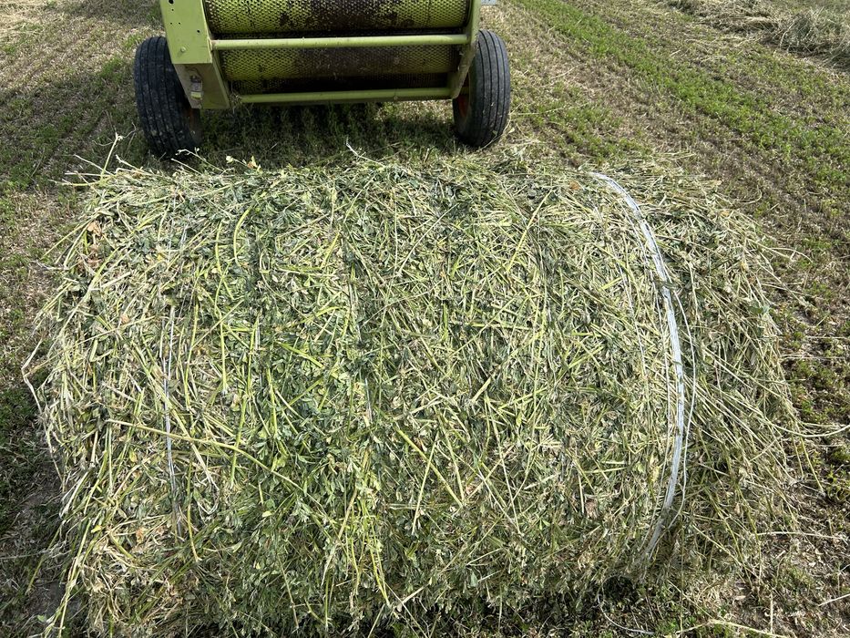 Presa Claas Rollant 34 S