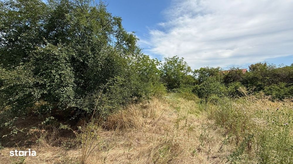 Teren I De Vanzare I Domnesti