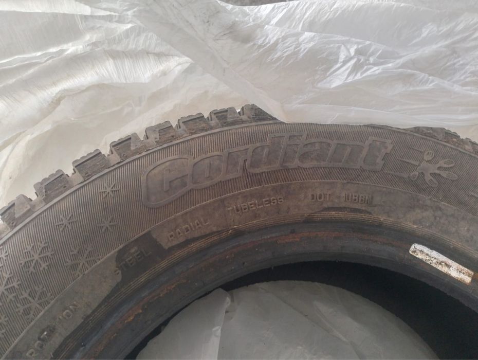 Зимние щины как новое