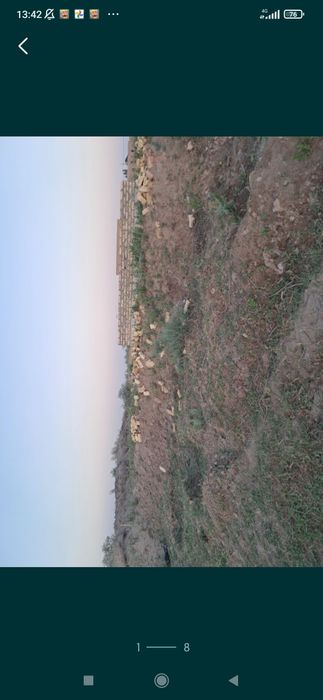 4 soʻtik fundament qilingan