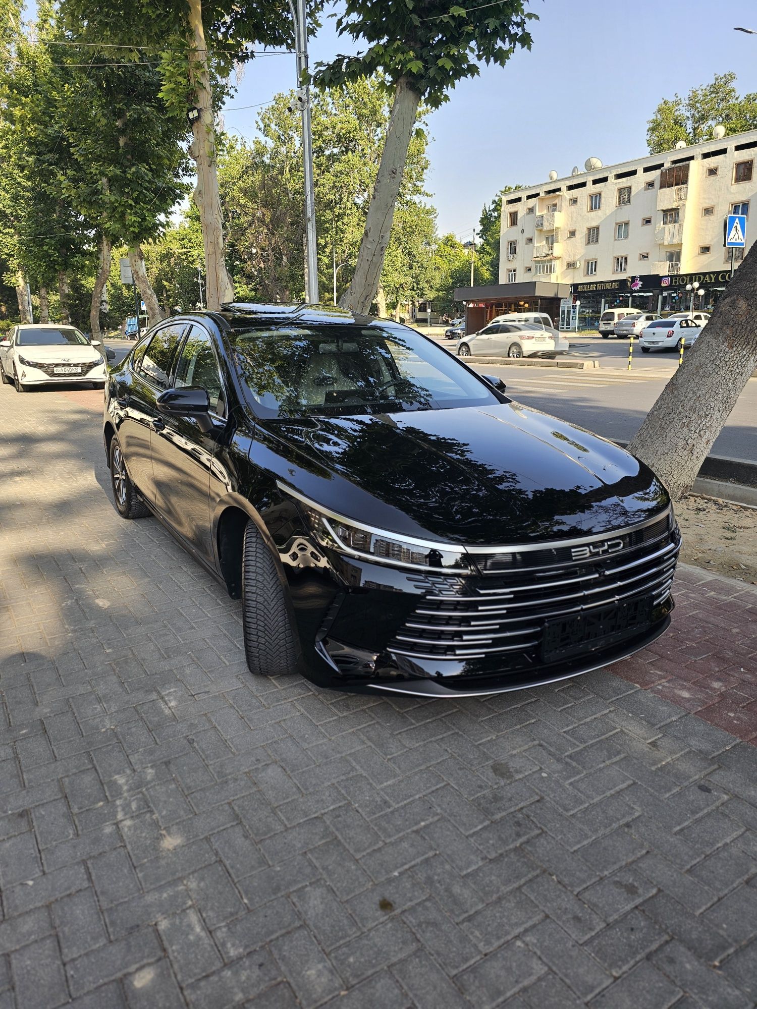 BYD CHAZOR 2024 Allo