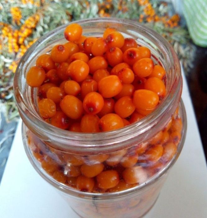 Кг 1800 облепиха