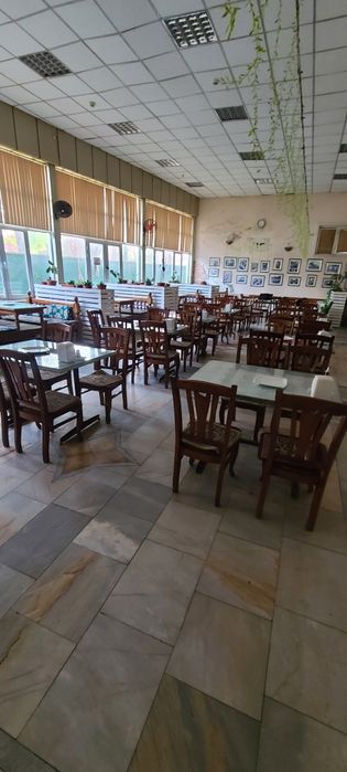 От кафе стоял и стуля