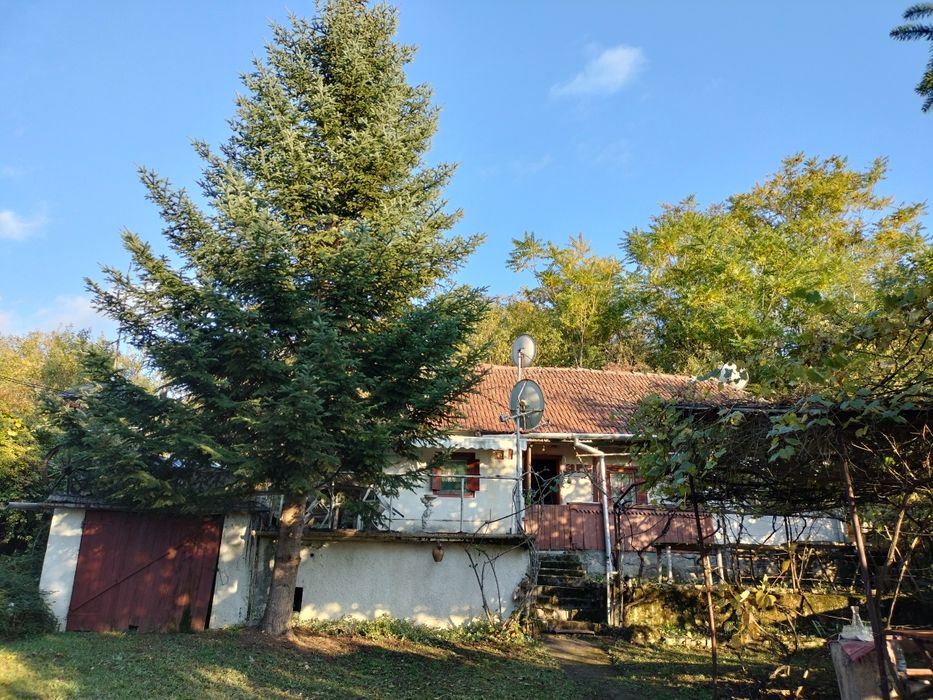 Casa de vacanta sau de locuit!