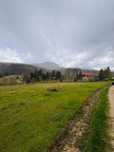 Teren de Vânzare jud. Brasov