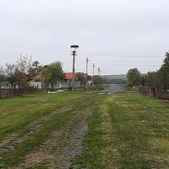 Teren intravilan 1000 m2 într-o comună din jud. Timiș