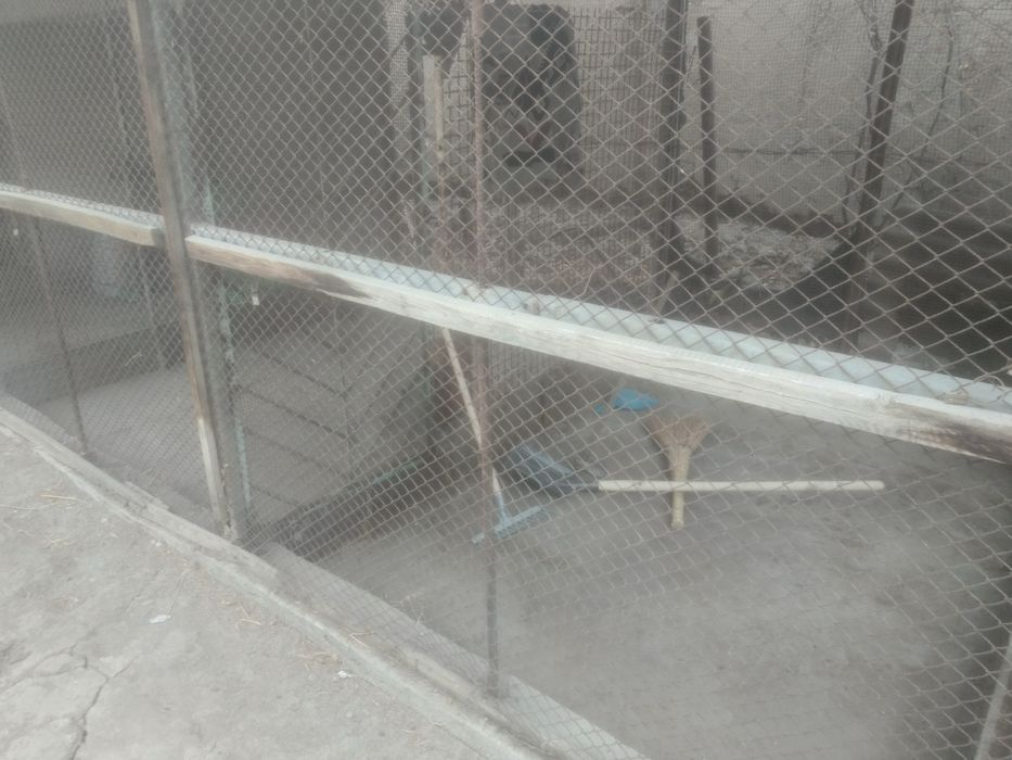 Продается участок в Яшнабдском районе 4,8 соток СРОЧНО!!!