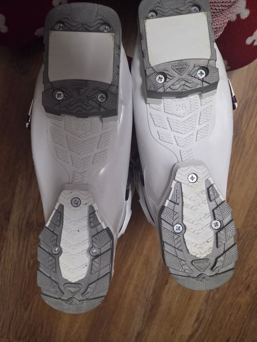 Clăpari Solomon dama