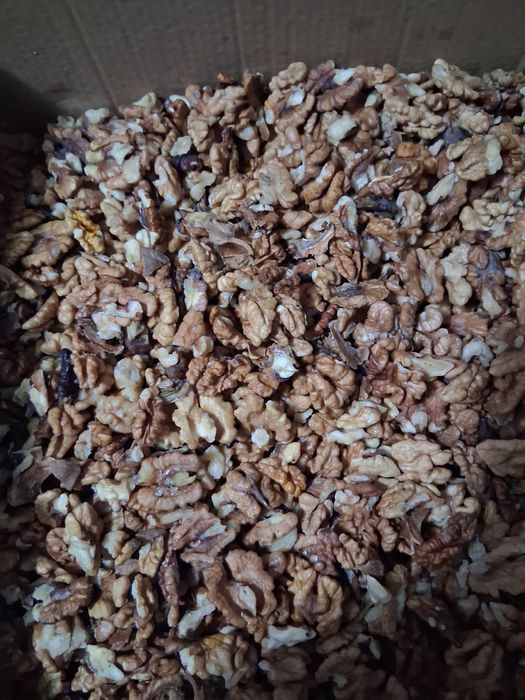 Văvd nucă de anul acesta