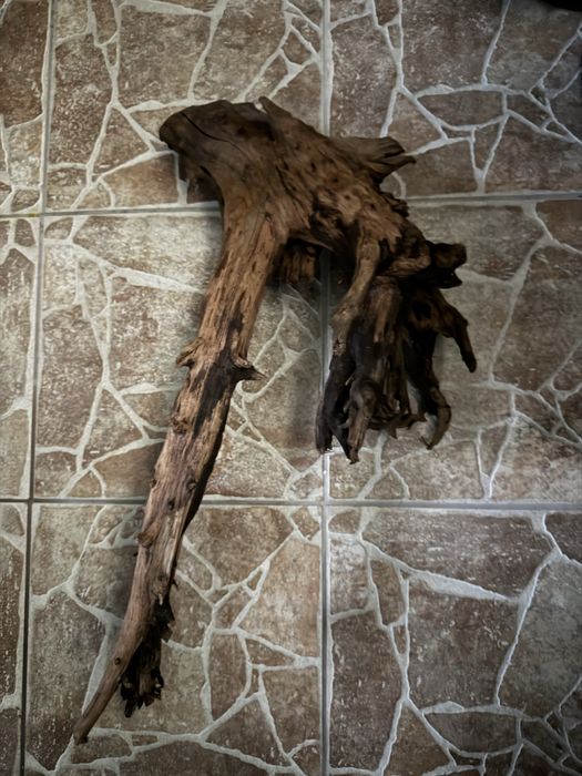 Radacina Driftwood natural pentru acvariu / piesă mare