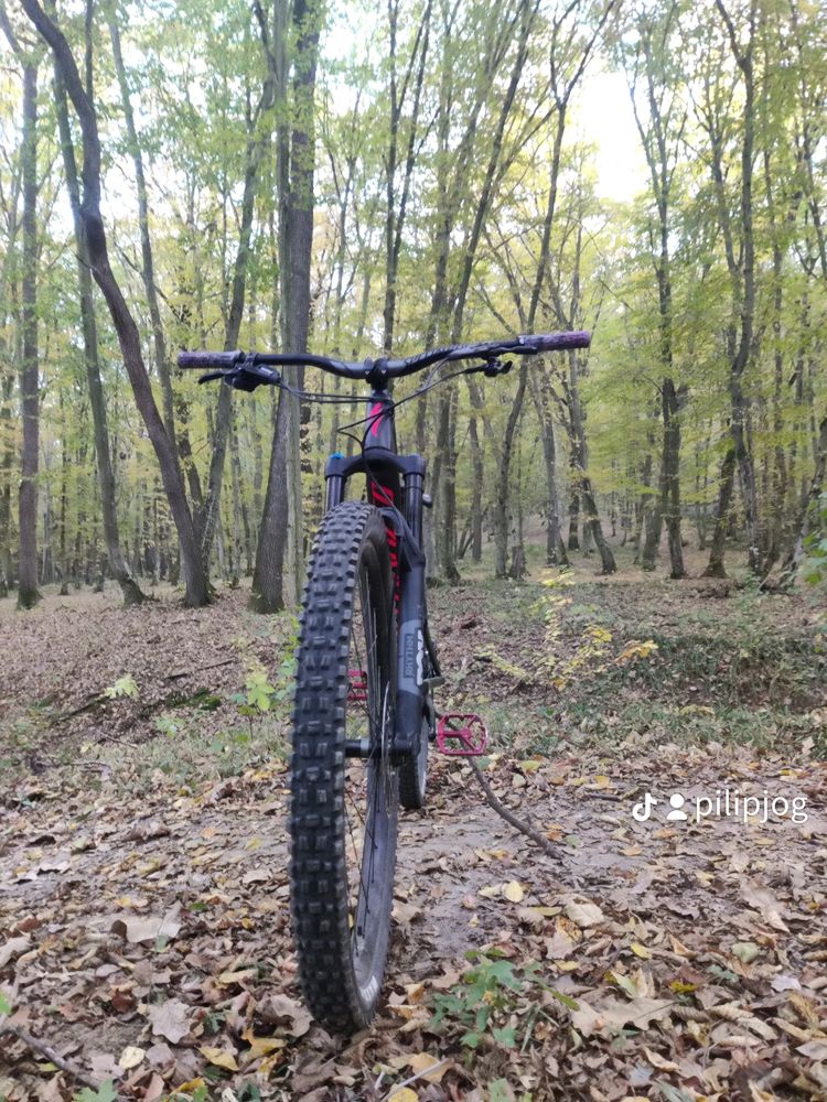 Specialized stumpjumper comp 2020