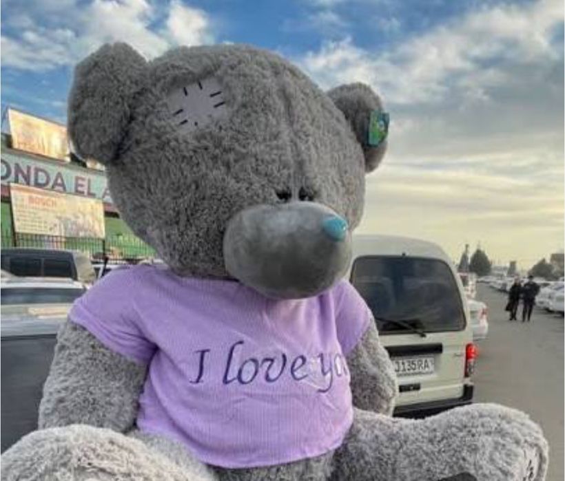 Teddy orginal ayiqchalar