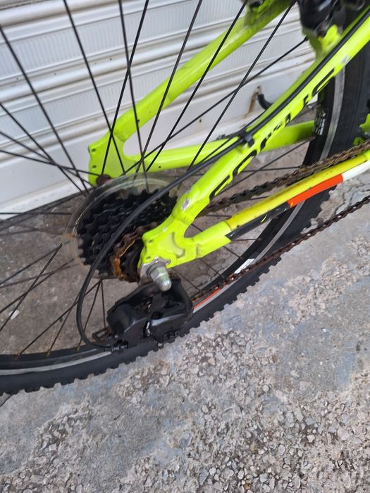 Детско колело FOKUS 24 цола!