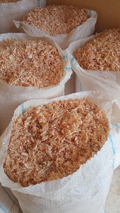 Rumeguș de fag curat