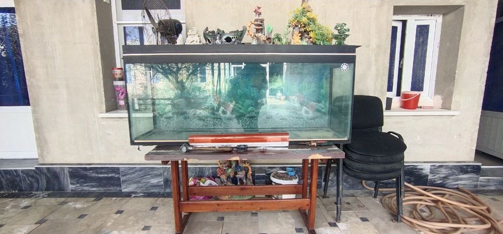 Аквариум (800 литров)