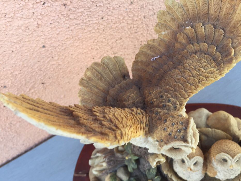 английска фигура сова