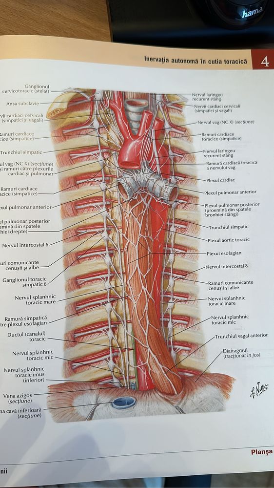 Pregătire admitere MEDICINA biologie