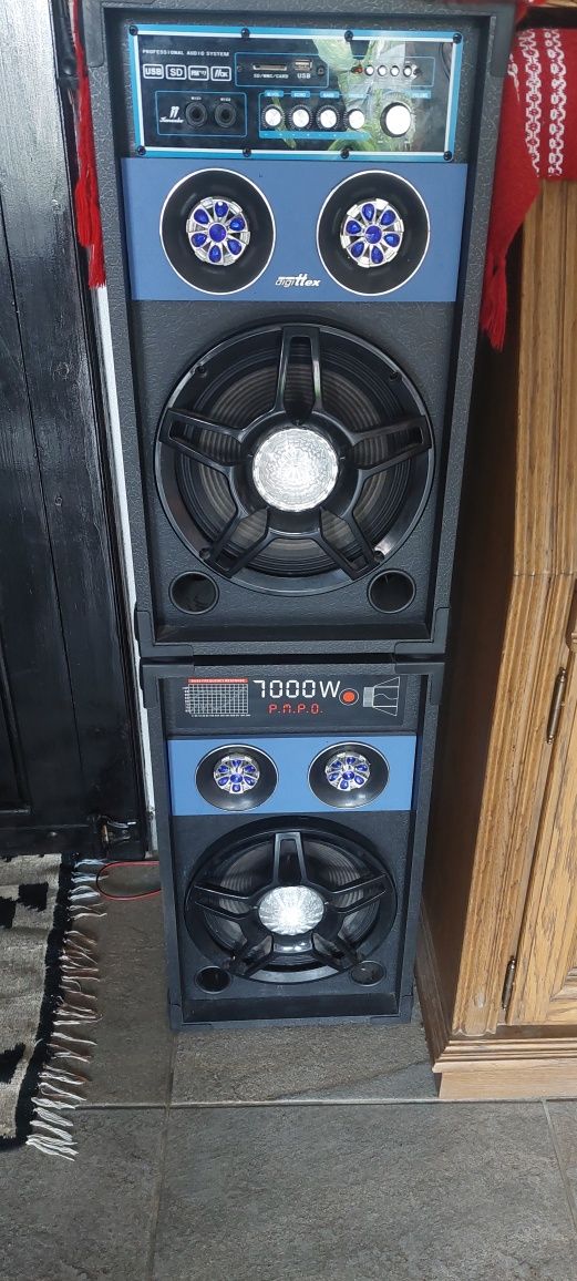 Două boxe cu radio și Bluetooth
